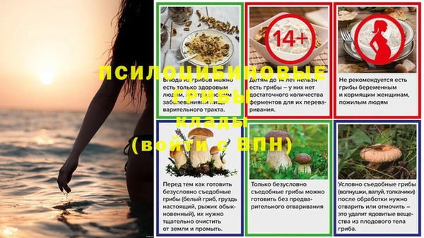 ALPHA-PVP Дмитров