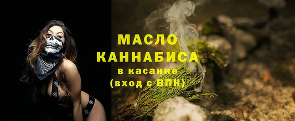 дмт Дмитровск