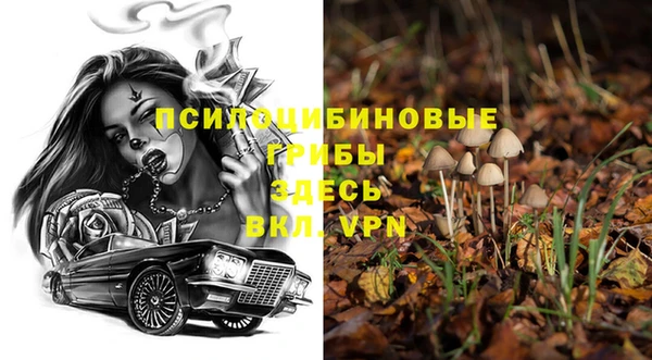кокаин премиум Дмитриев