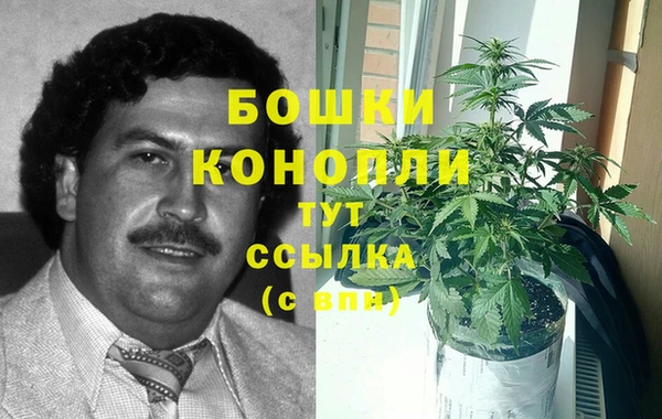 дмт Дмитровск